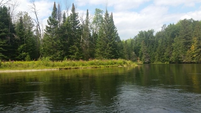 Spectacular Natural Beauty: Au Sable River Canoe Trips
